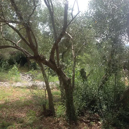 Lili Apartments, Sv Dunata 18 *