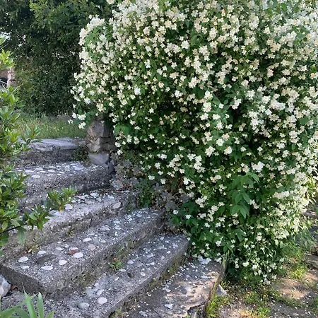 公寓 Lili Apartments, Sv Dunata 18 Kornić
